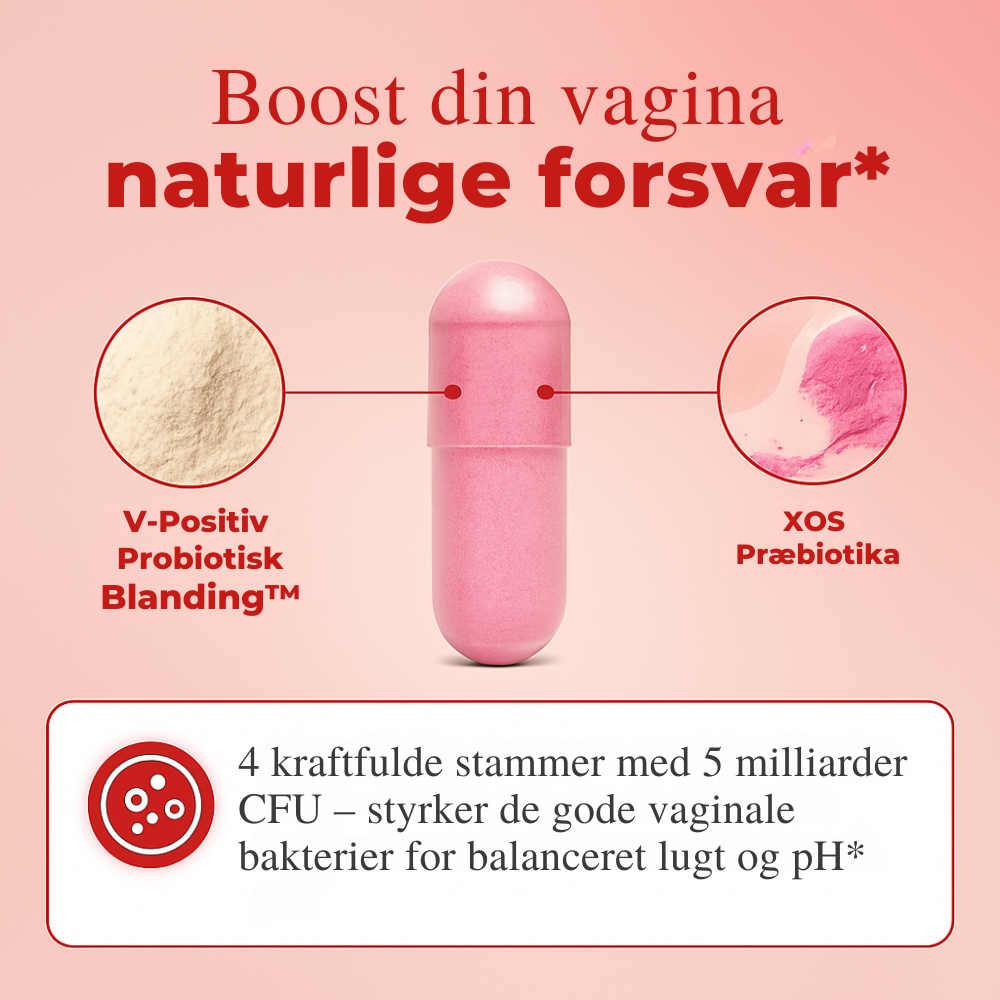 Vaginal Probiotika