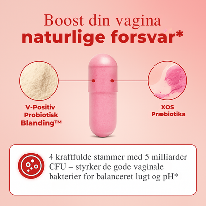 Vaginal Probiotika